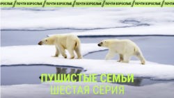 "Пушистые семьи". Шестая серия